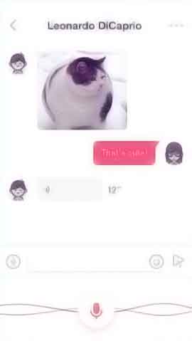 DDOS接单平台软件程序维护界面